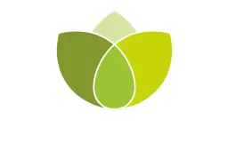 Estudiar és Fàcil